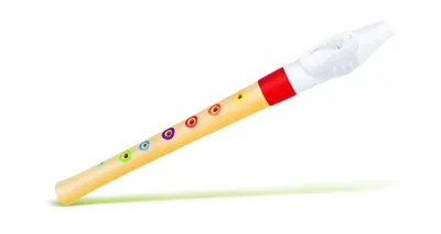 Мини рекордер за начинаещи, Hape