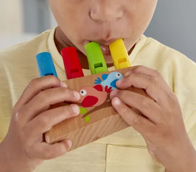 Дървена играчка, Hape, Ксилофон дъга