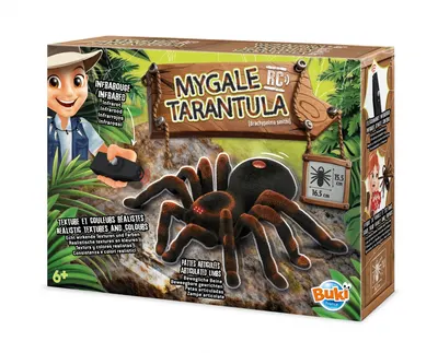 Интерактивна играчка, Buki France, Тарантула с радиоуправление