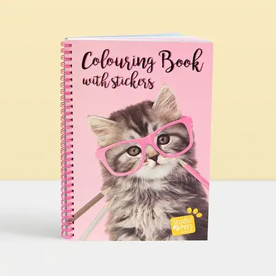 Книжка за оцветяване със стикери, Котето Пейдж
