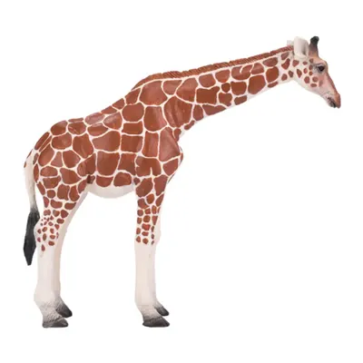 Жираф женски II