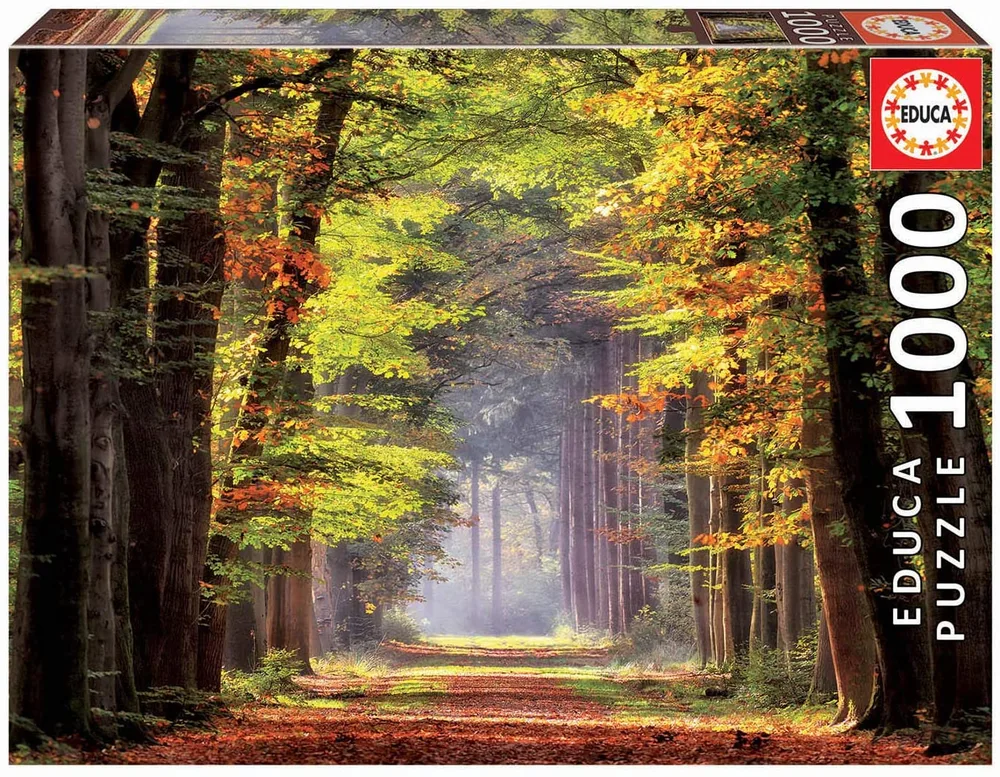 Пъзел, Educa, Есенна разходка, 1000 части