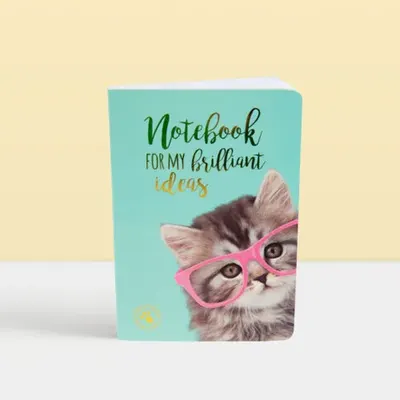 Тефтерче с меки корици, Котето Пейдж