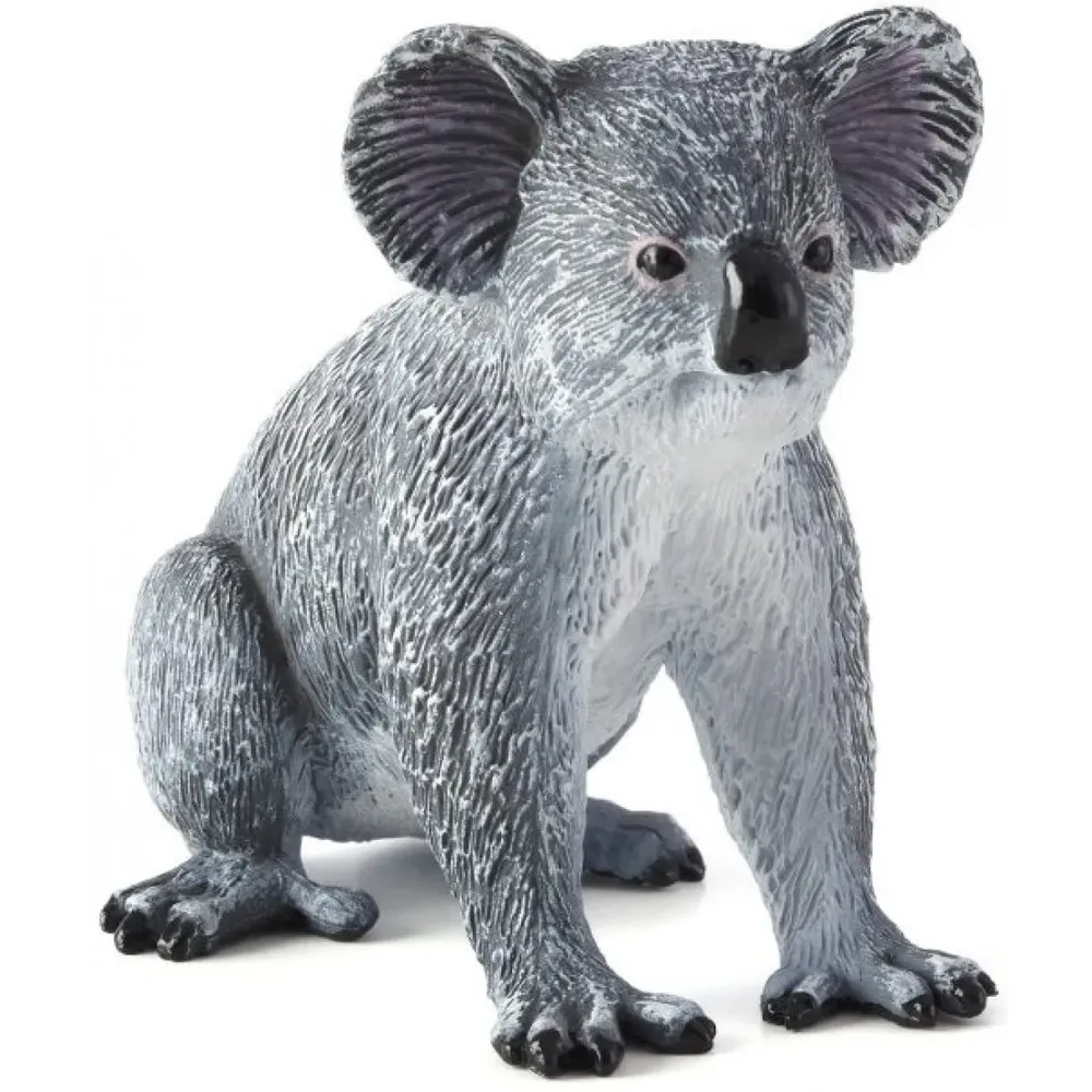 Коала