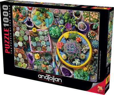 Пъзел, Anatolian, Кактуси, 1000 части