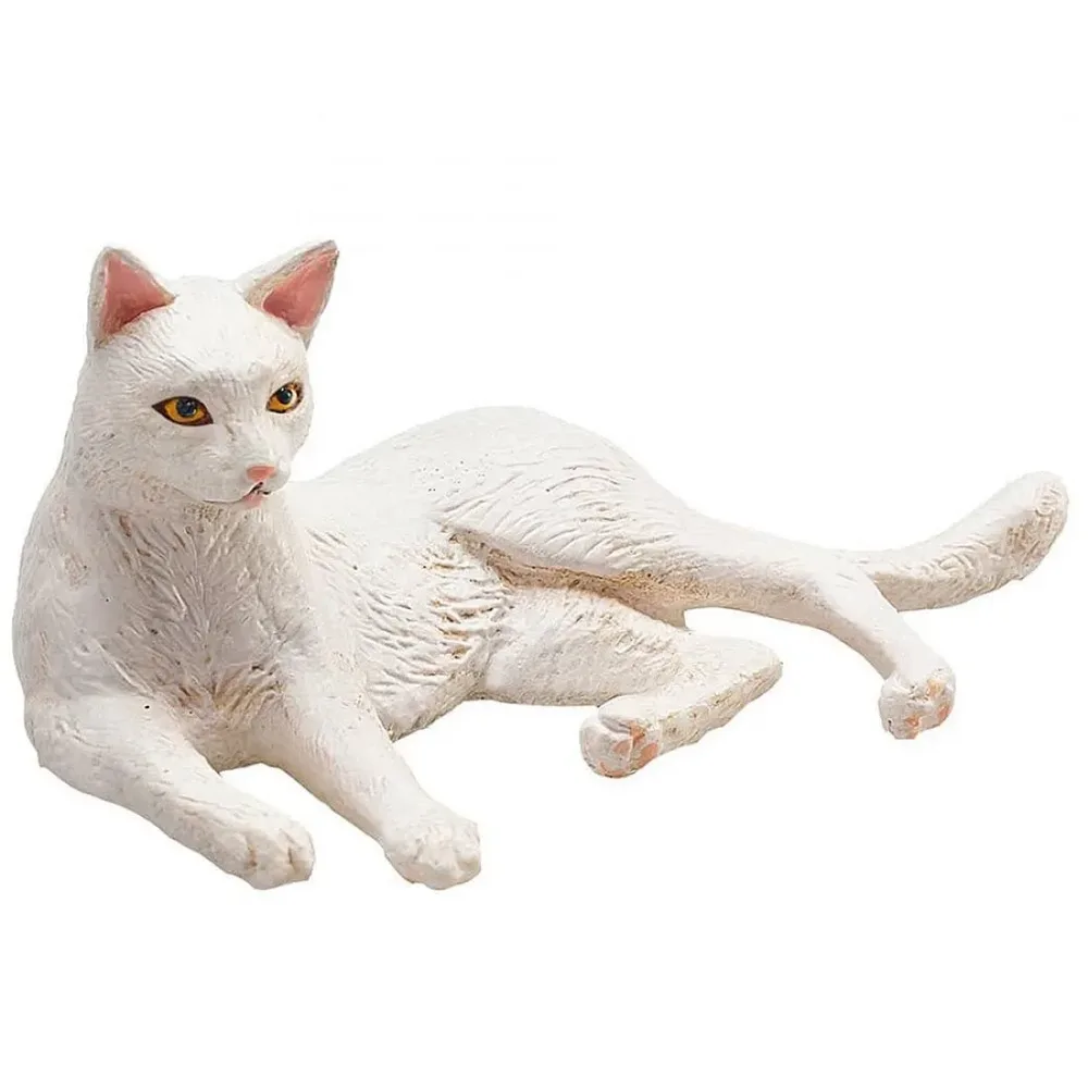 Котка бяла, легнала